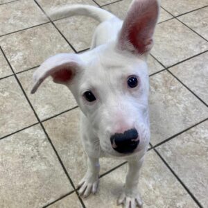 d6501e2f303006d28cabfdff60204950